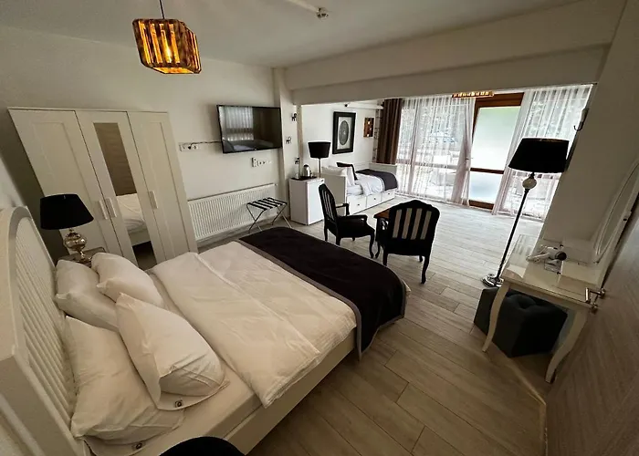 Fizzio 2* 阿拉恰特